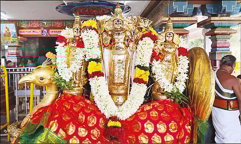 மருதமலை முருகன் கோவிலில் வைகாசி விசாக திருவிழா கோலாகலம்: பக்தர்கள் சாமி தரிசனம்