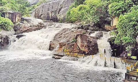 நெல்லையில் தொடர் மழை.. மணிமுத்தாறு அருவியில் வெள்ளப்பெருக்கு