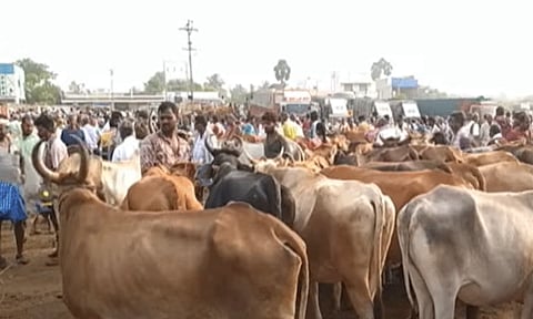 ஓமலூர் அருகே களைகட்டிய மாட்டுச்சந்தை - 3 கோடி ரூபாய்க்கு மாடுகள் விற்பனை