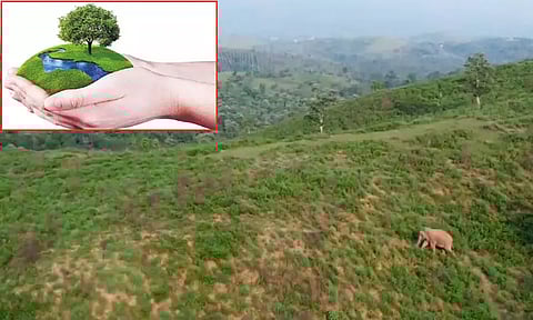 tamil news World Environment Day in tamil