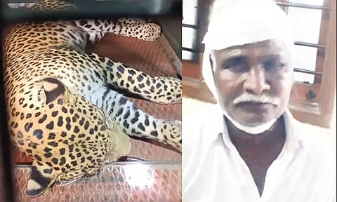 சிறுத்தை தாக்கியபோது நானும் எதிர்த்து தாக்கினேன்... பெயிண்டர் பரபரப்பு தகவல்