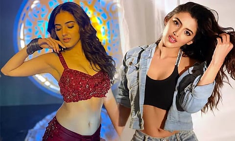 'அப்படித்தான் கெரியரை ஆரம்பித்தேன்' - நடிகை மாளவிகா சர்மா