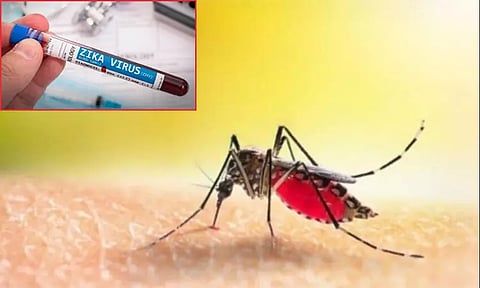 Zika virus is spreading in pune