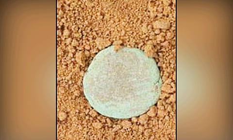 கடலூர்: அகழாய்வு பணியில் சோழர் கால நாணயம் கண்டெடுப்பு