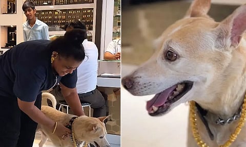 தங்கச் சங்கிலி மாட்டி அழகுபார்த்த பெண்