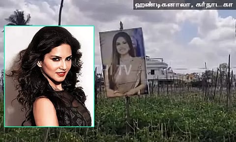 கர்நாடகாவில் சோளக்கொல்லை பொம்மைகளுக்கு பதில் சன்னி லியோன் படத்தை வைத்த விவசாயி