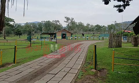 முதுமலை புலிகள் காப்பகத்தில் சூழல் சுற்றுலா ரத்து