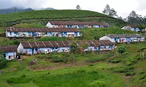 மாஞ்சோலைக்கு செல்ல இன்று முதல் 3 நாட்கள் தடை