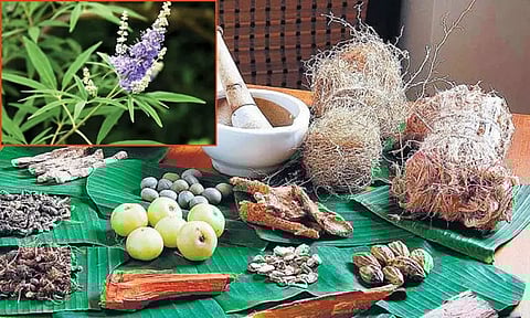 சாதாரண காய்ச்சலுக்கு சித்த மருத்துவம்