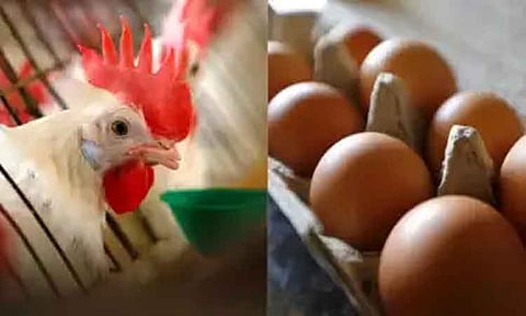 முதலில் முட்டை வந்ததா? கோழி வந்ததா? வாக்குவாதத்தில் நண்பனை கொலை செய்த தொழிலாளி