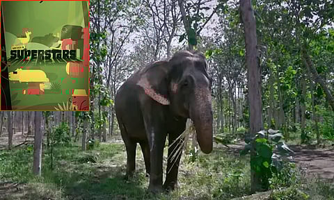 கதை சொல்லும் வனவிலங்குகள்... வான்தாரா காப்பகத்தின் புதுமையான கல்வி வீடியோ தொடர்