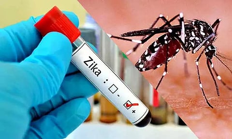 புனேவில் ஜூன் மாதம் முதல் 66 பேருக்கு ஜிகா வைரஸ் பாதிப்பு உறுதி