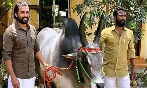 Vetri Maaran to begin Vaadivaasal soon after 'Viduthalai Part 2'