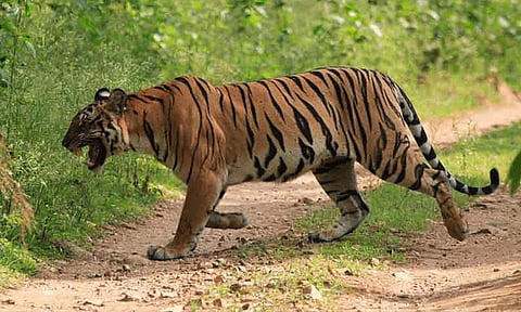 கோப்புப்படம்