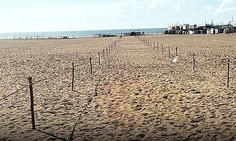 பெசன்ட் நகர் கடற்கரையில் மாற்றுத்திறனாளிகளுக்கு மரப்பலகை பாதை