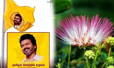 த.வெ.க. கொடியில் இடம்பெறுவது வாகை மலரா..? லோகோவா..?