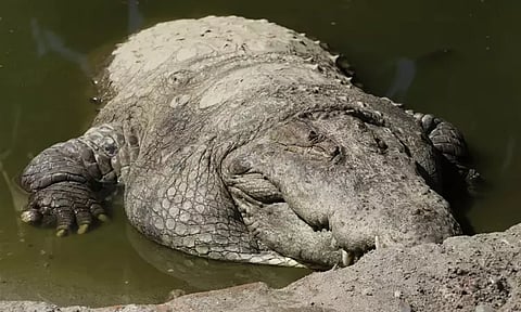 கோப்புப்படம்