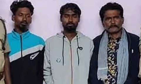 புலிகளை விஷம் வைத்துக் கொன்றதாக 3 வடமாநில தொழிலாளர்கள் கைது