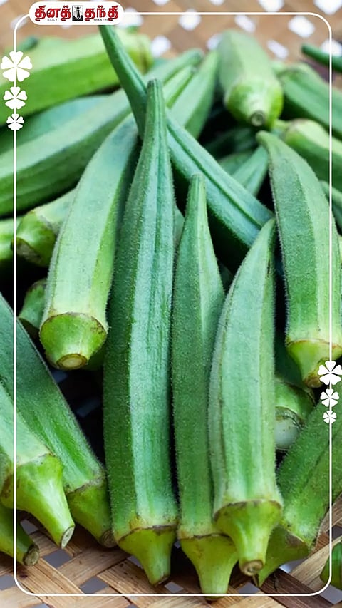 வெண்டைக்காய் யாரெல்லாம் சாப்பிட கூடாது தெரியுமா?