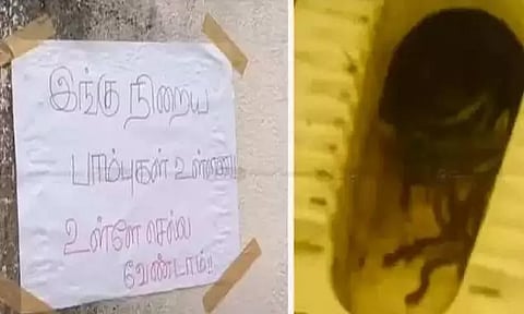 கல்லூரியின் கழிவறையில் பாம்புகள்: மாணவிகள் அலறியடித்து ஓட்டம்