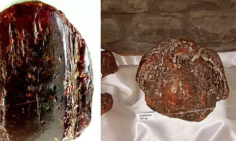 ரூ.9.2 கோடி மதிப்புடைய அதிர்ஷ்ட கல்லை வீட்டு வாசல் படியாக பயன்படுத்திய மூதாட்டி