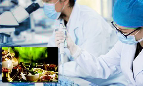 தமிழ்நாட்டு சித்த மருந்து ரத்தசோகையை குணமாக்கும் - ஆராய்ச்சியில் தகவல்