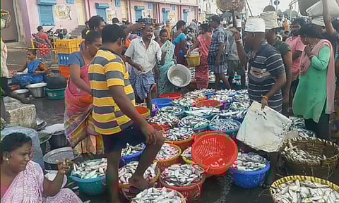 சென்னை காசிமேடு மீன் சந்தையில் குவிந்த மக்கள்