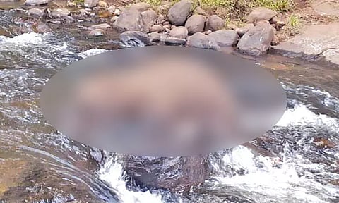 கொடைக்கானலில் ஆற்றை கடக்க முயன்ற குட்டியானை பாறை இடுக்கில் சிக்கி உயிரிழப்பு