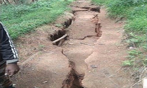 கொடைக்கானல் அருகே வனப்பகுதி நிலத்தில் திடீர் பிளவு - அதிகாரிகள் ஆய்வு