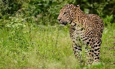 கோப்புப்படம்