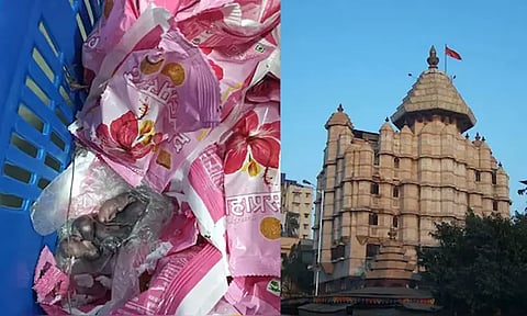 மும்பை சித்தி விநாயகர் கோவில் லட்டு பிரசாத பாக்கெட்டுகளில் எலிக்குட்டிகள்...வீடியோ வெளியாகி பரபரப்பு