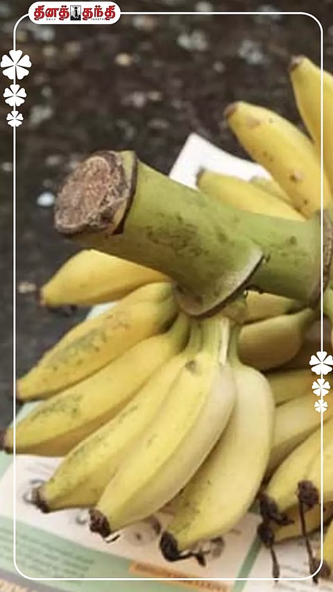 கற்பூரவள்ளி வாழைப்பழத்தில் நிறைந்திருக்கும் ஆரோக்கிய நன்மைகள்..!