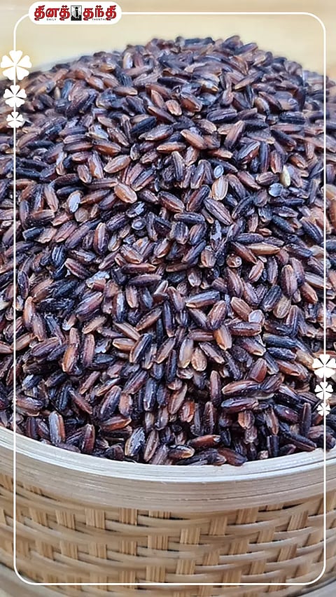 கறுப்பு கவுனி அரிசியில் கொட்டி கிடக்கும் கோடி நன்மைகள்..!