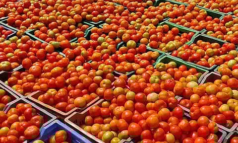 வரத்து குறைவால் தக்காளி விலை அதிரடி உயர்வு