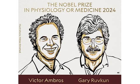 2024ம் ஆண்டின் மருத்துவத்திற்கான நோபல் பரிசு அறிவிப்பு