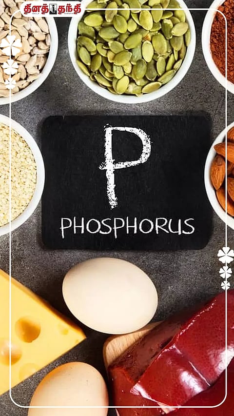 உடலில் பாஸ்பரஸ் எவ்வளவு முக்கியமானது தெரியுமா?