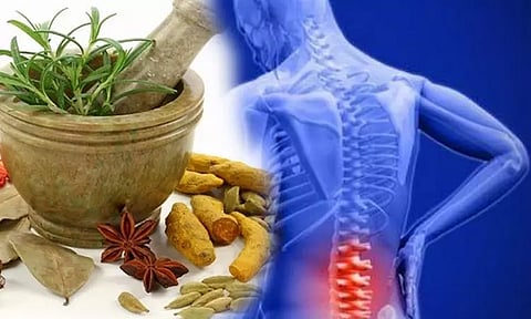 தண்டுவட பாதிப்புகளை சரிசெய்யும் சித்த மருந்துகள்