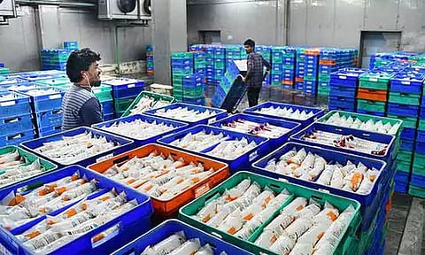 தீவிர மழைக்காலத்திலும் தங்கு தடையின்றி பால் விநியோகம்: ஆவின் நிர்வாகம்