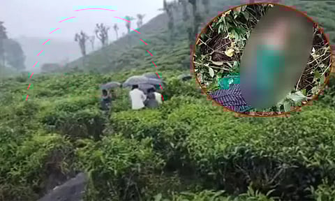 வால்பாறையில் சிறுமியை கடித்துக் கொன்ற சிறுத்தையை பிடிக்க குழு அமைப்பு