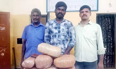 திருவொற்றியூர் ரெயில் நிலையத்தில் 14 கிலோ கஞ்சா பறிமுதல்: வாலிபர் கைது