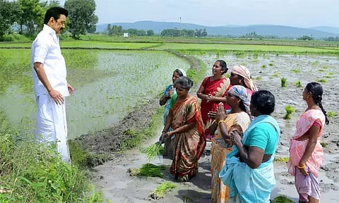 வேளாண்மைத் துறையில் தமிழ்நாடு முன்னணி மாநிலமாக திகழ்கிறது: அரசு பெருமிதம்