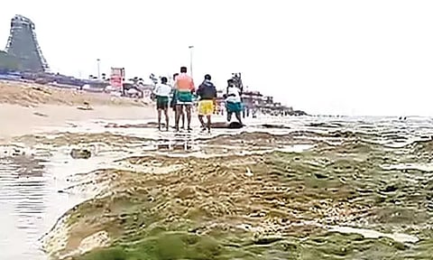 திருச்செந்தூரில் திடீரென 50 அடி தூரத்திற்கு உள்வாங்கிய கடல்