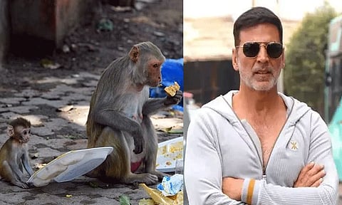 அயோத்தியில் உள்ள குரங்குகளுக்கு உணவளிக்க ஒரு கோடி ரூபாய் நன்கொடை வழங்கிய அக்சய் குமார்