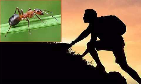 வாழ்க்கைப் பாதையில் தடைகளா..?