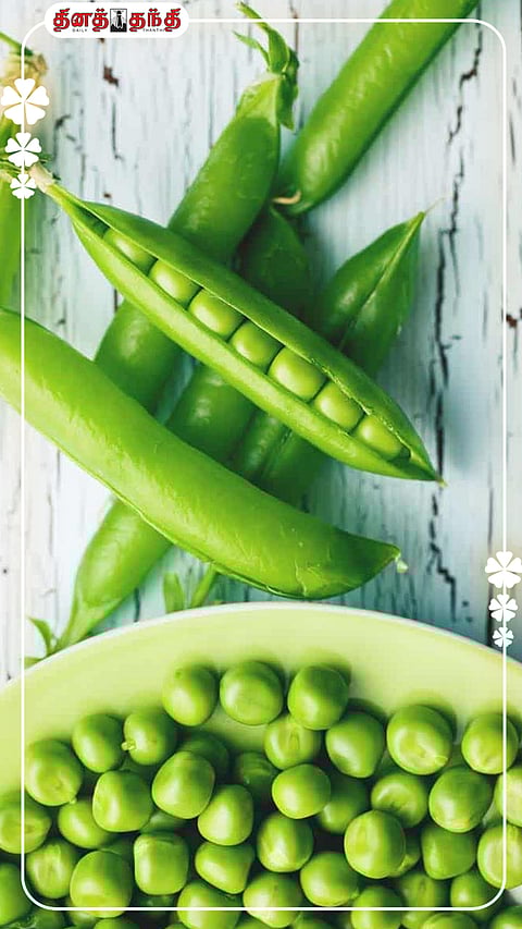 பச்சை பட்டாணி சாப்பிடுவதால் கிடைக்கும் 09 ஆரோக்கிய நன்மைகள்..!