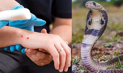 பாம்பு கடியை அறிவிக்கக்கூடிய நோயாக அறிவித்தது தமிழக அரசு