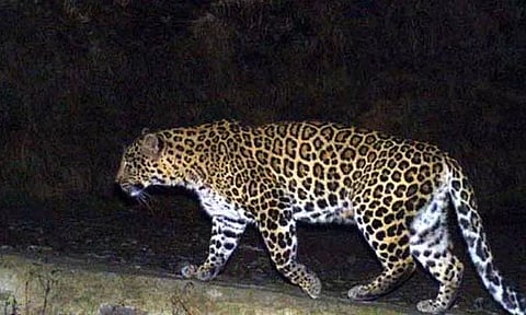 கோப்புப்படம்