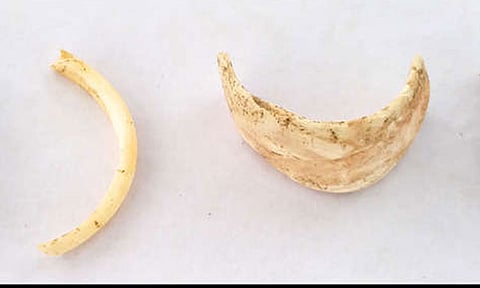 வெம்பக்கோட்டை அகழாய்வில் சங்கு வளையல்கள் கண்டெடுப்பு