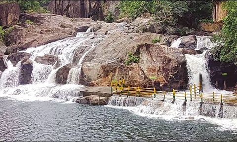 மணிமுத்தாறு அருவியில் குளிக்க தடை