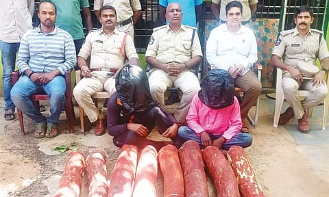 ஆந்திராவில் செம்மரம் வெட்டியதாக தமிழகத்தை சேர்ந்த இருவர் கைது